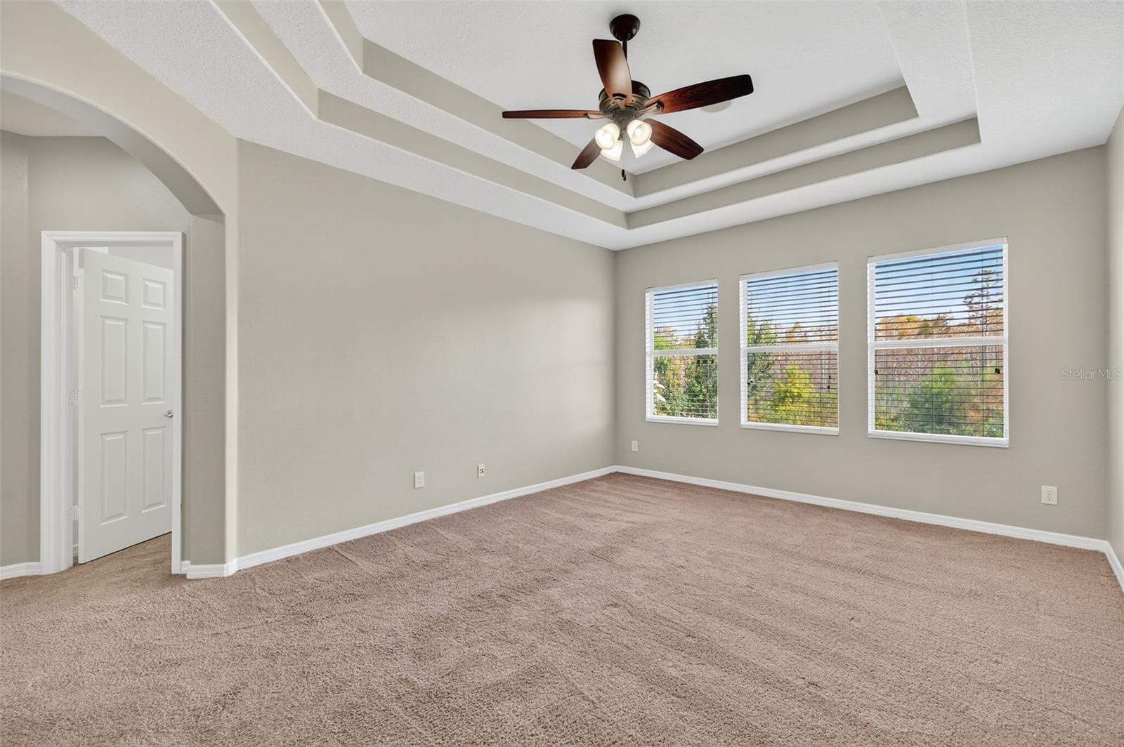 Gorgeous Conservation view