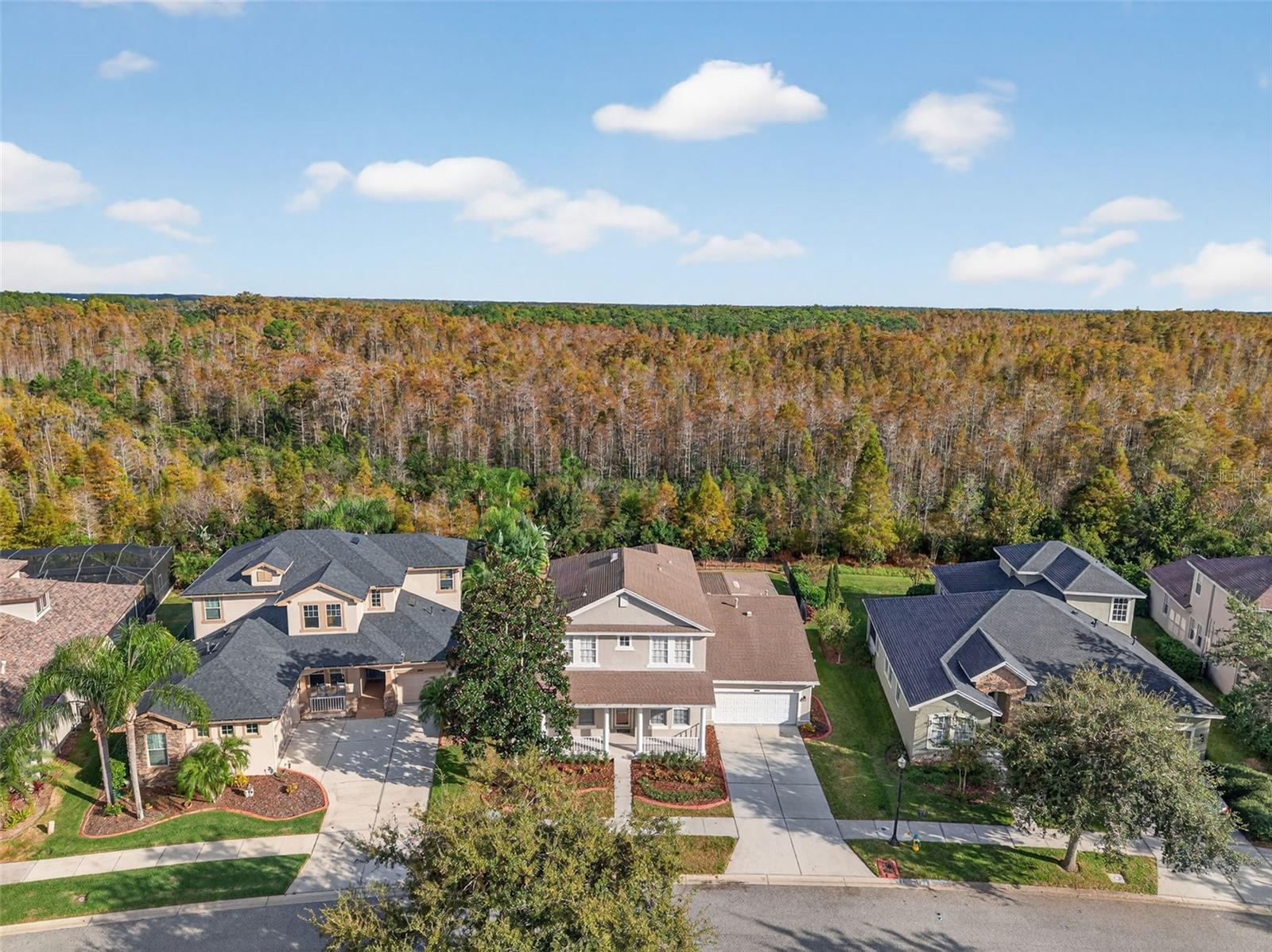 Gorgeous conservation views