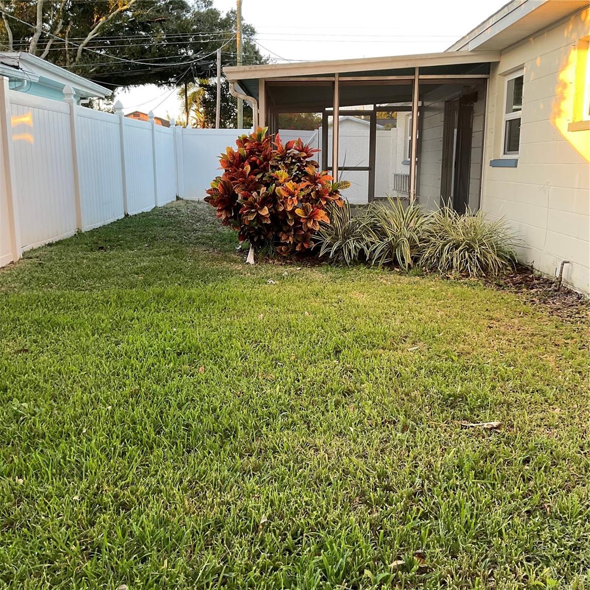 Enclosed porch and backyard