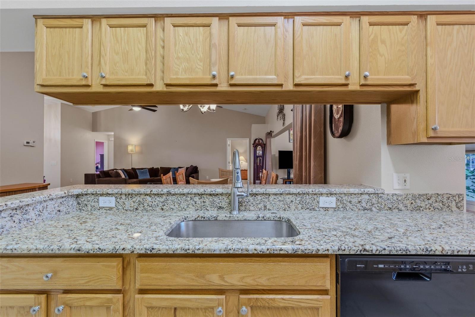 Sleek granite counters