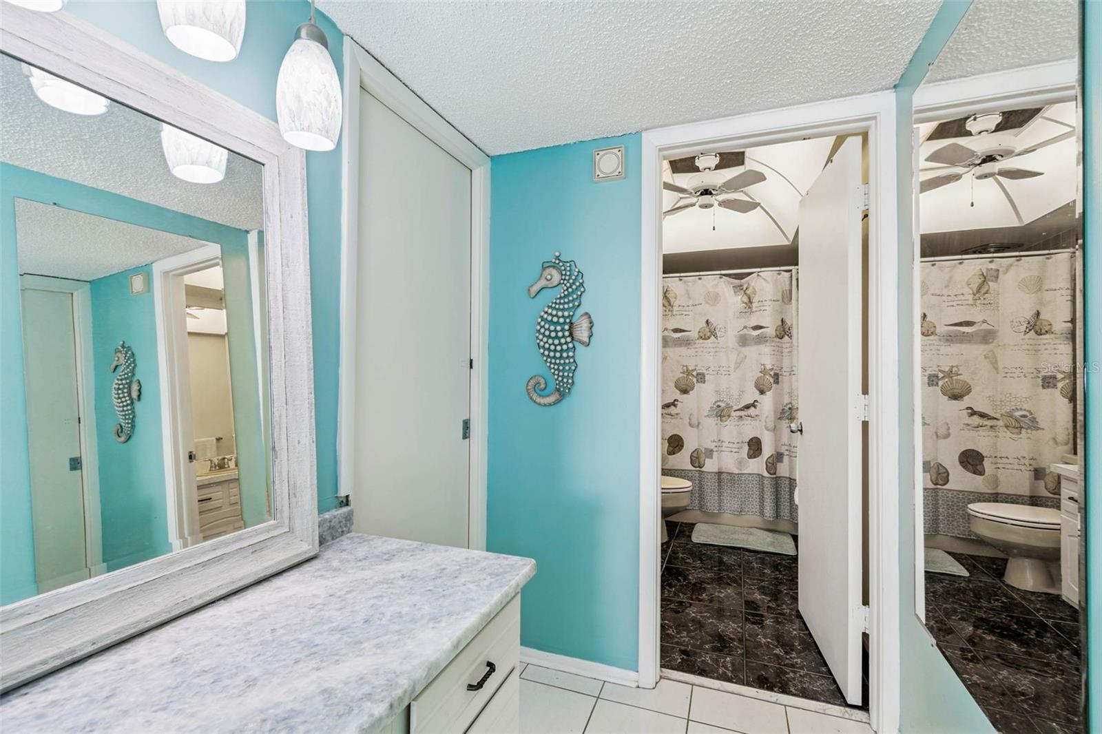 Primary Bathroom, Makeup Counter, Walk-In Closet