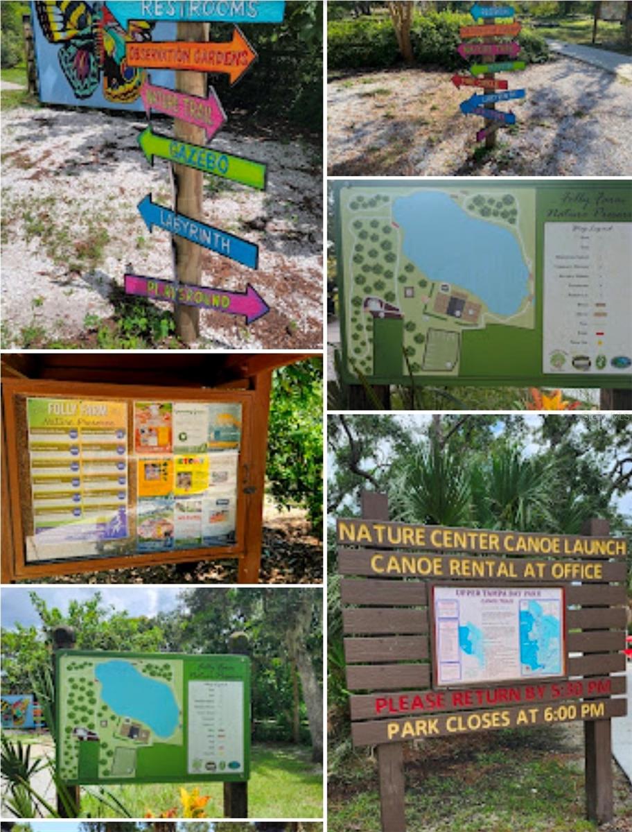 Safety Harbor things to do.