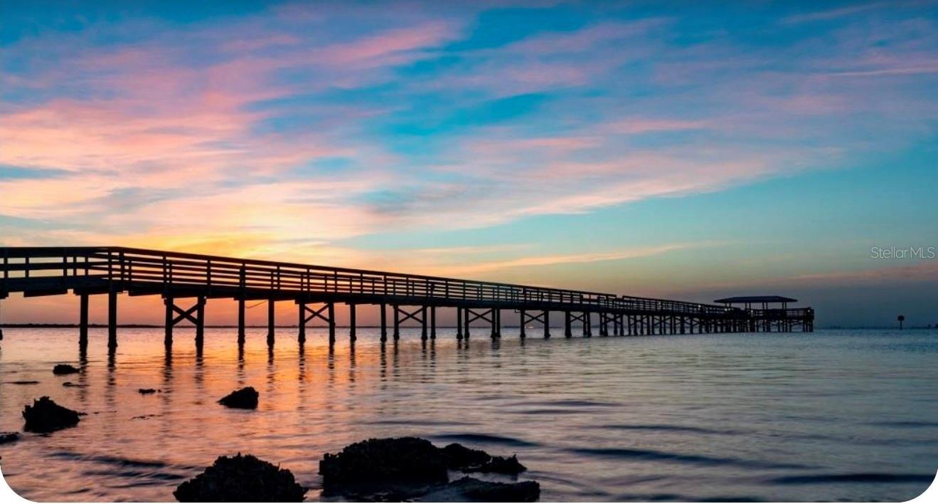 Safety Harbor things to do.