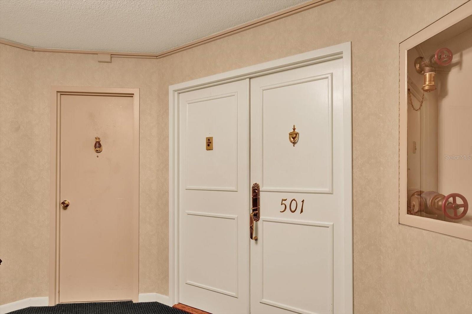 Double-door entrance - both elegant and functional for an easy move-in.