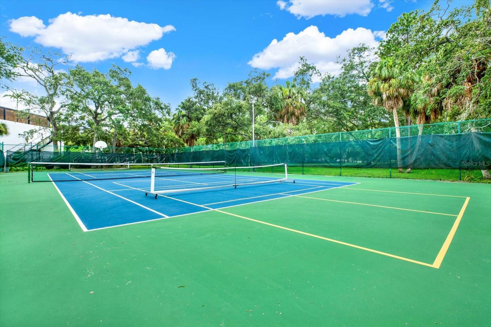 Tennis court, pickleball court, and basketball goal.