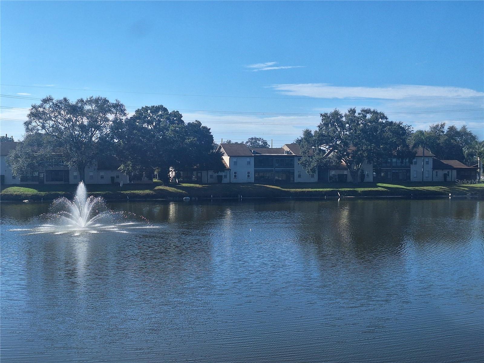 From the Large Lanai