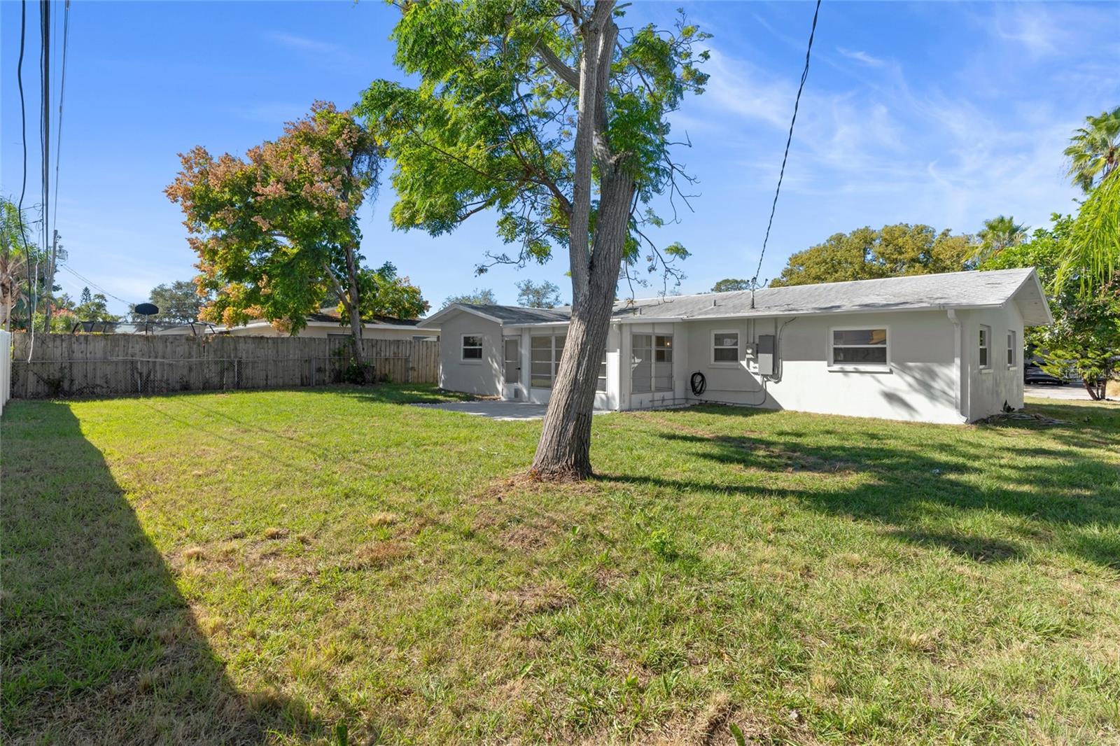 Mature Minimal Landscaping