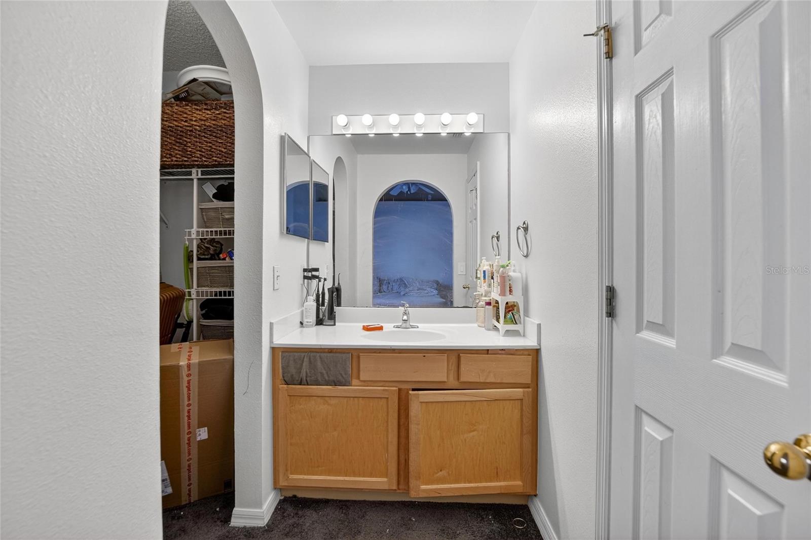 Ensuite Vanity. Walk in closet to the left. Door to shower/toilet to the right.