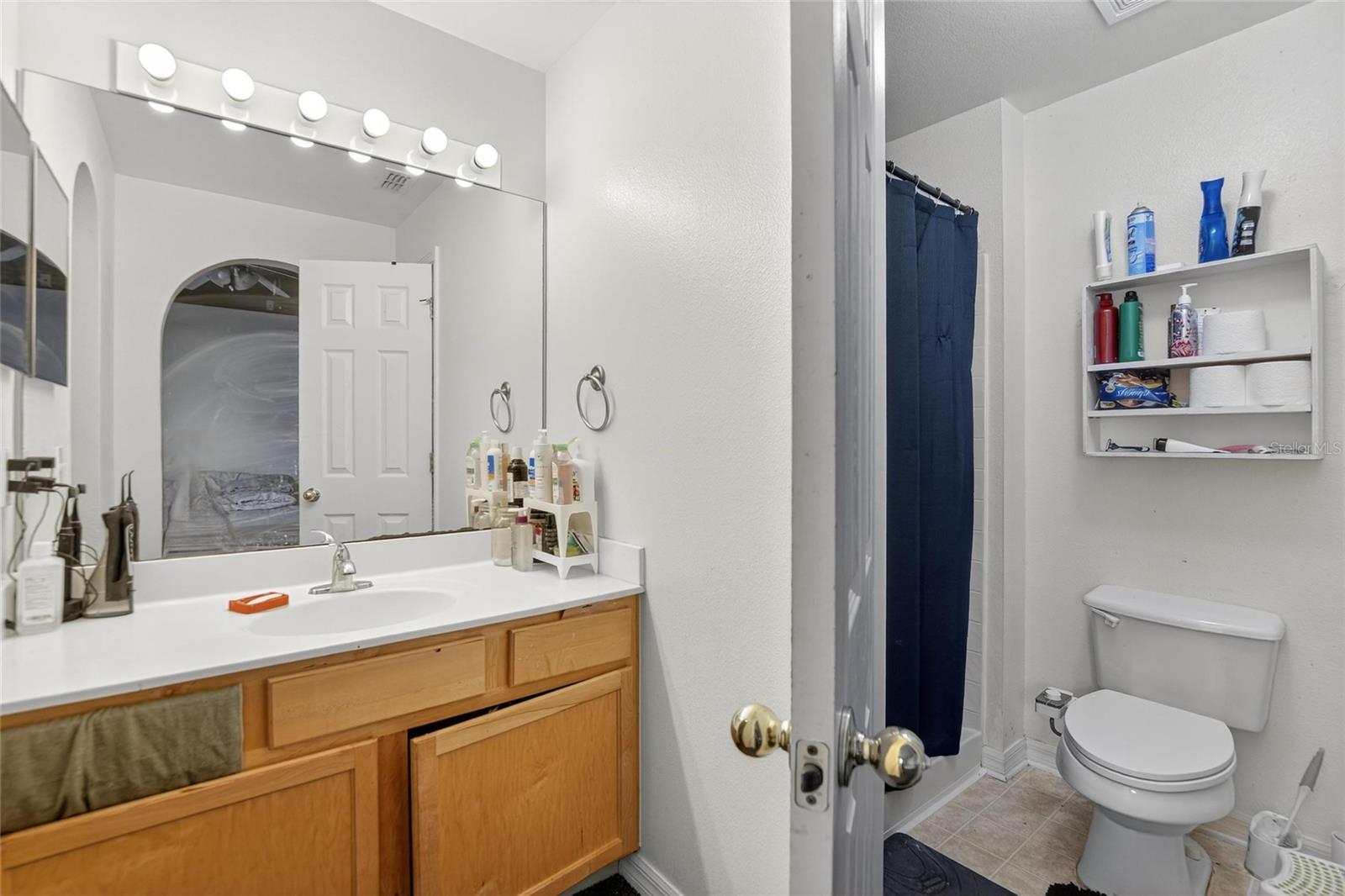 Owner's Ensuite Vanity and Shower/Toilet Room.