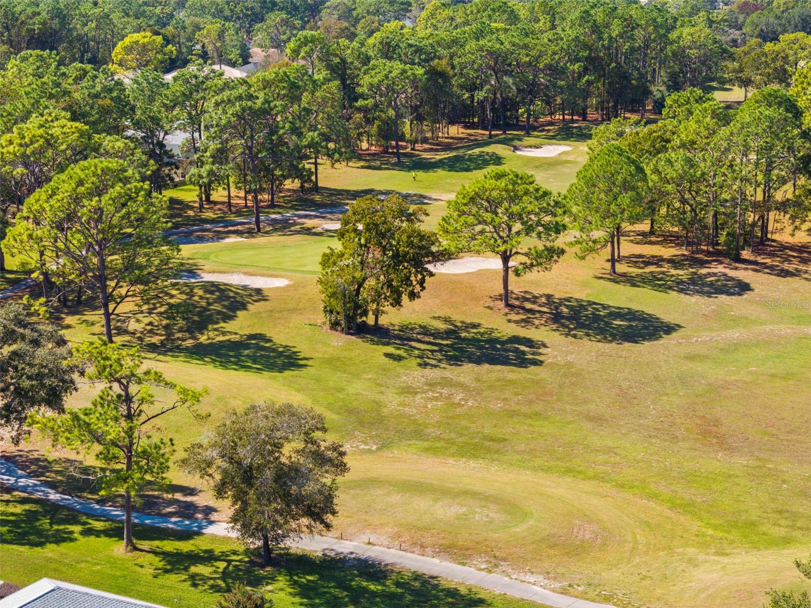 Aerial Golf Course View