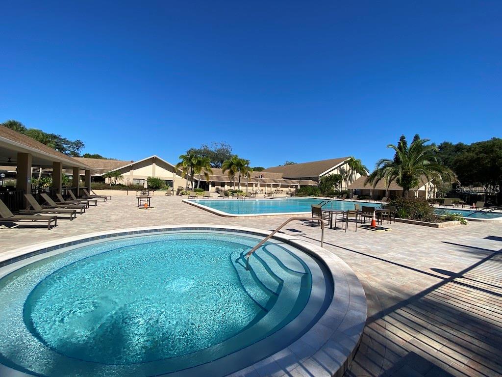 Olympic size  heated pool with spa