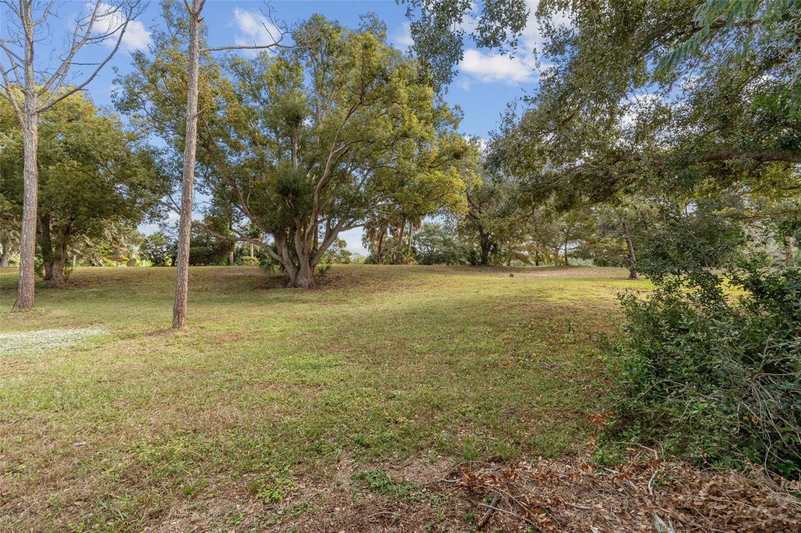 View of John S. Taylor Park from the back fence gate.