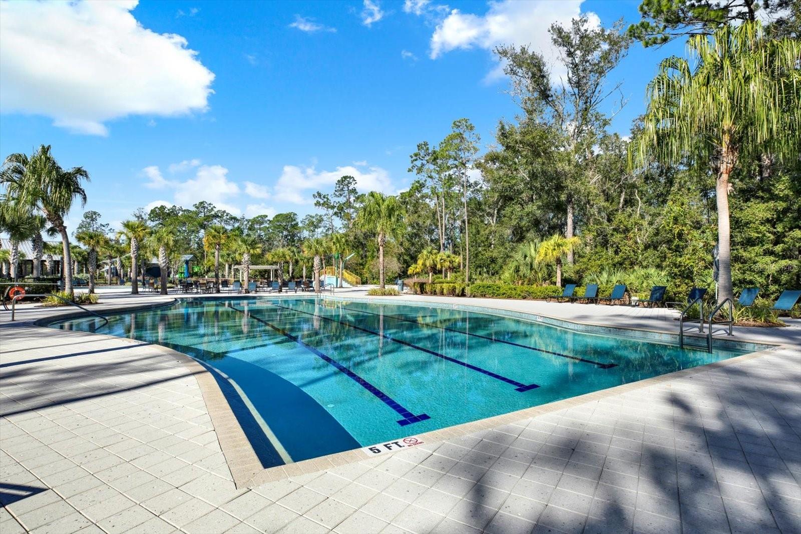 Bexley Community Pools- Land O Lakes, Florida