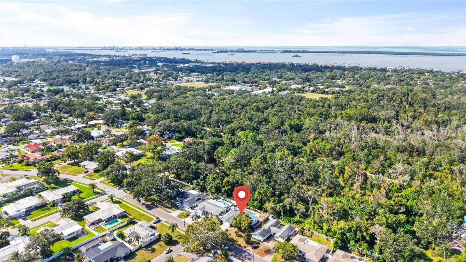 Overlooking Hammock Park