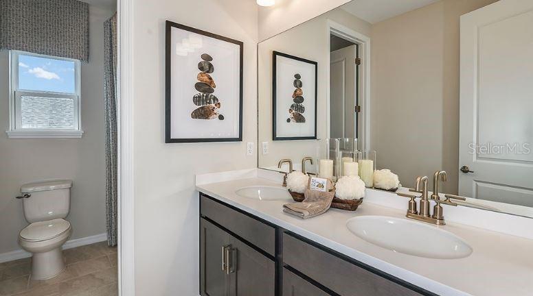 Representative Photos