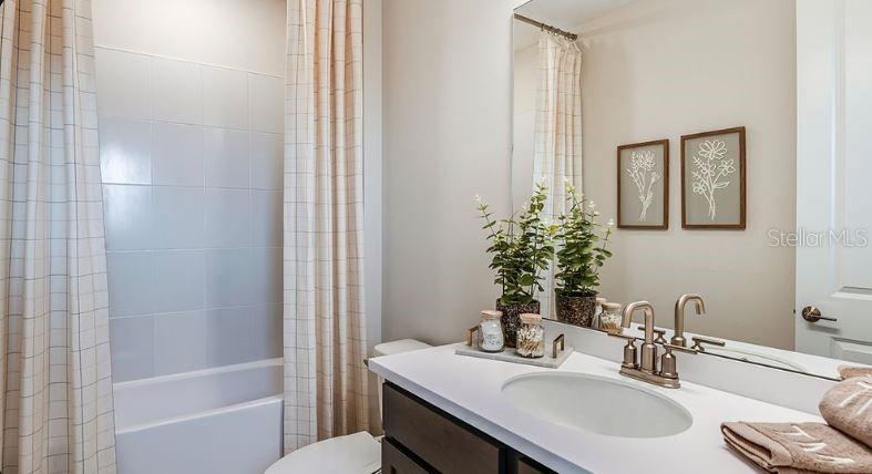 Representative Photos