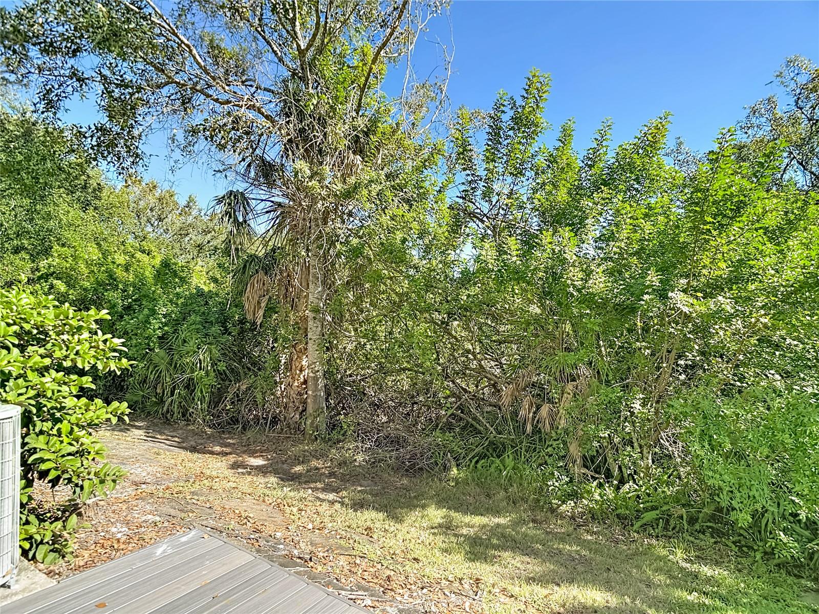 View from Screened Lanai