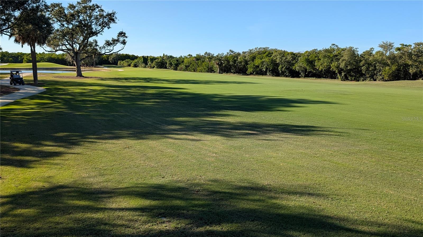 Next to Feather Sound Golf Course