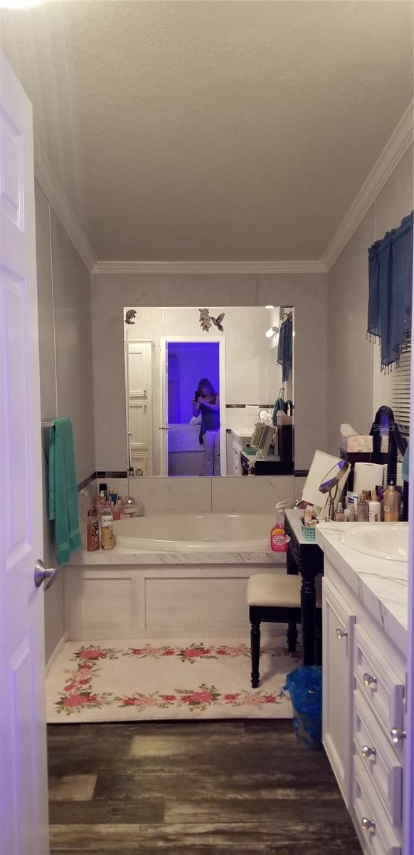 Master bathroom garden tub