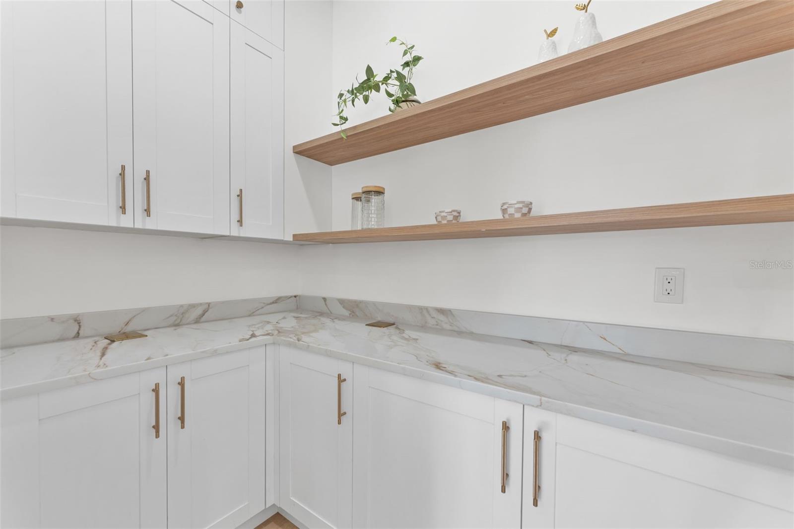 Kitchen Walk In Pantry