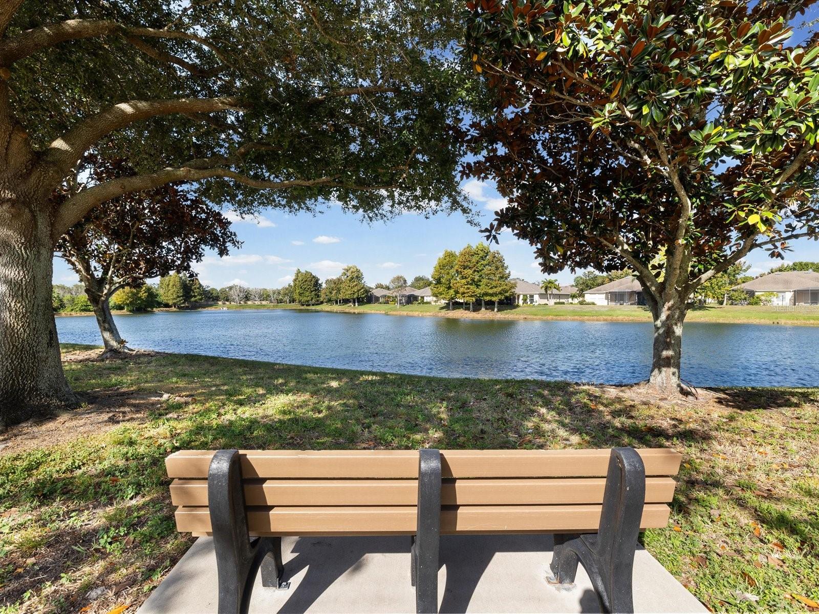 TAKE A STROLL IN YOUR NEIGHBORHOOD OR STOP TO ENJOY NATURE