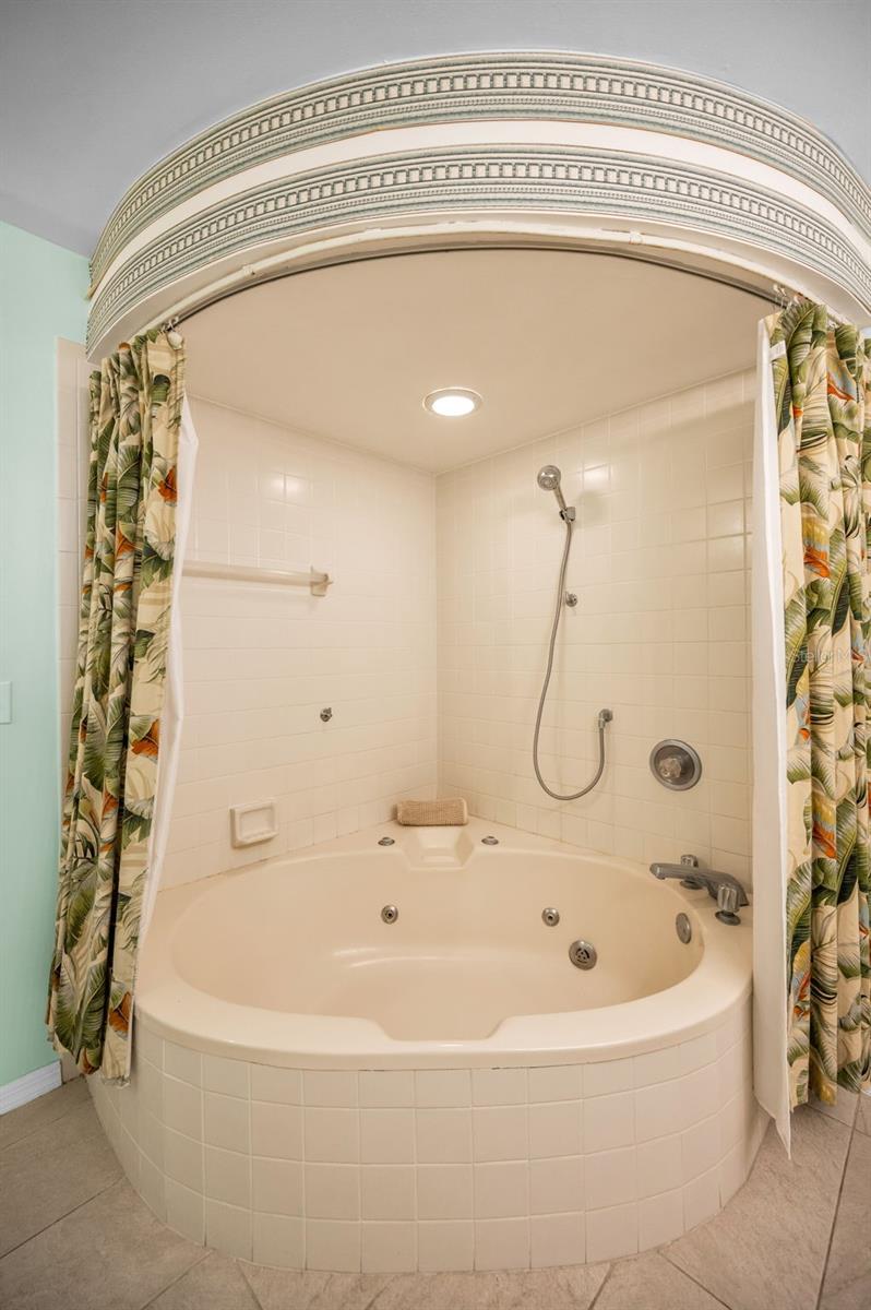 Primary Bathroom Tub/Shower
