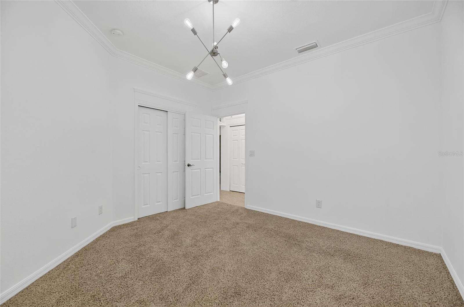 Looking out from the guest bedroom.