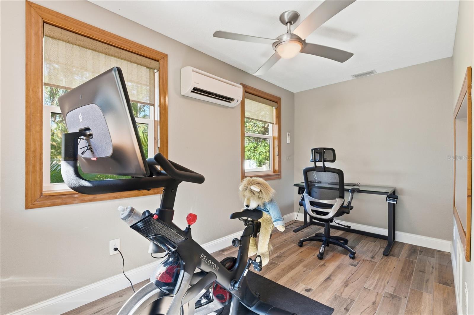 Office/Workout Room/Den