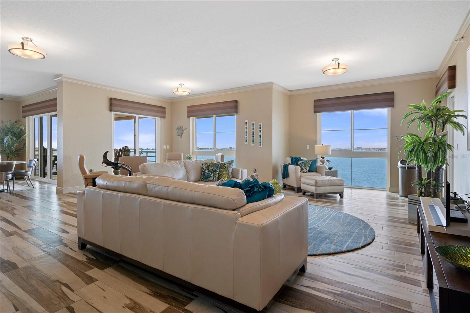 Watch dolphins and manatees right from your living room