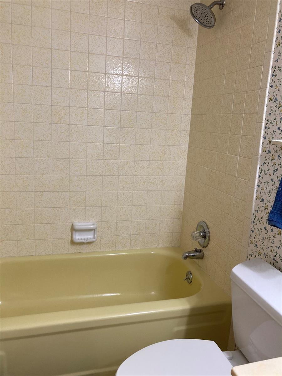 Tub/shower combo