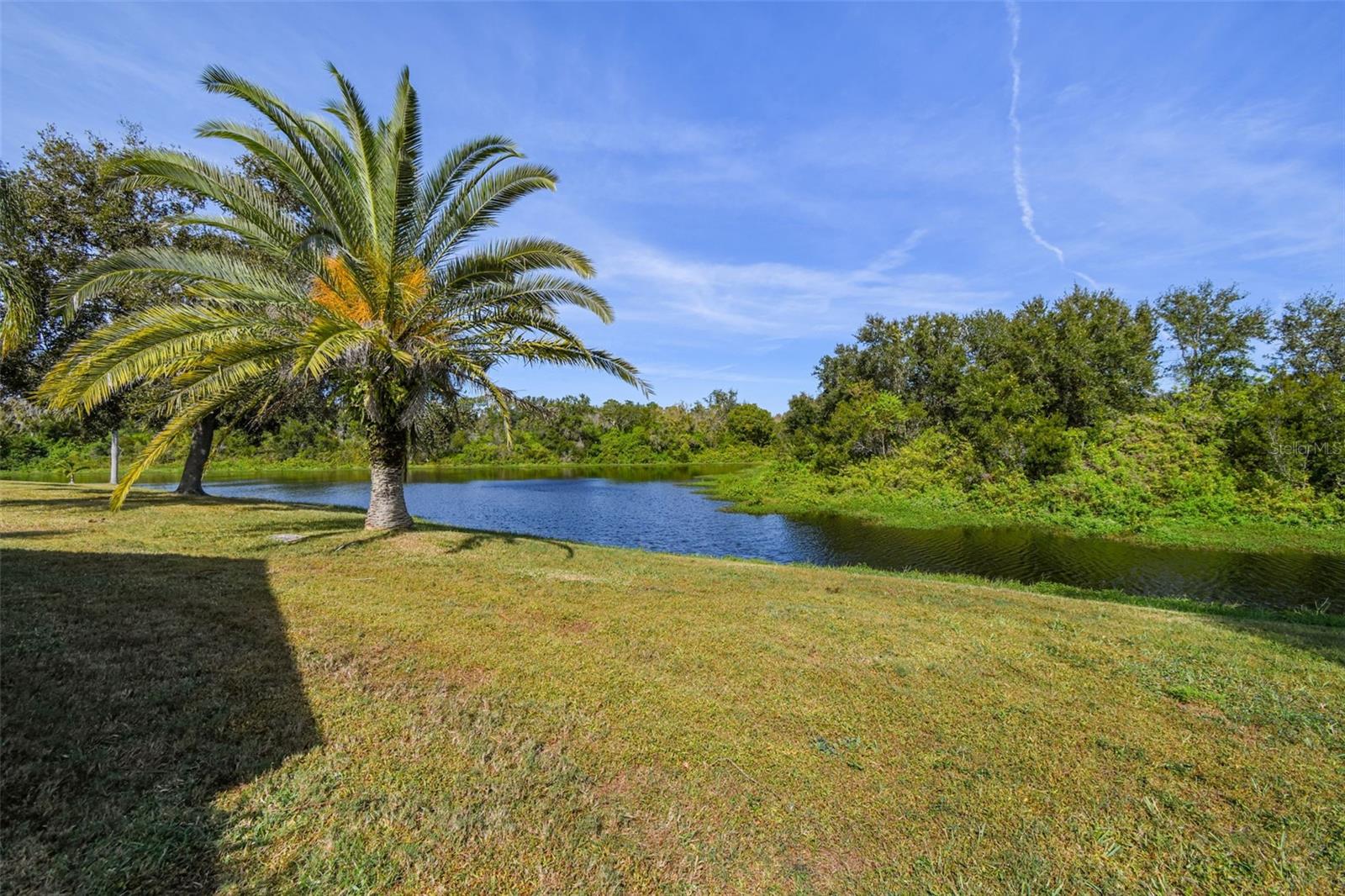 Water and conservation views