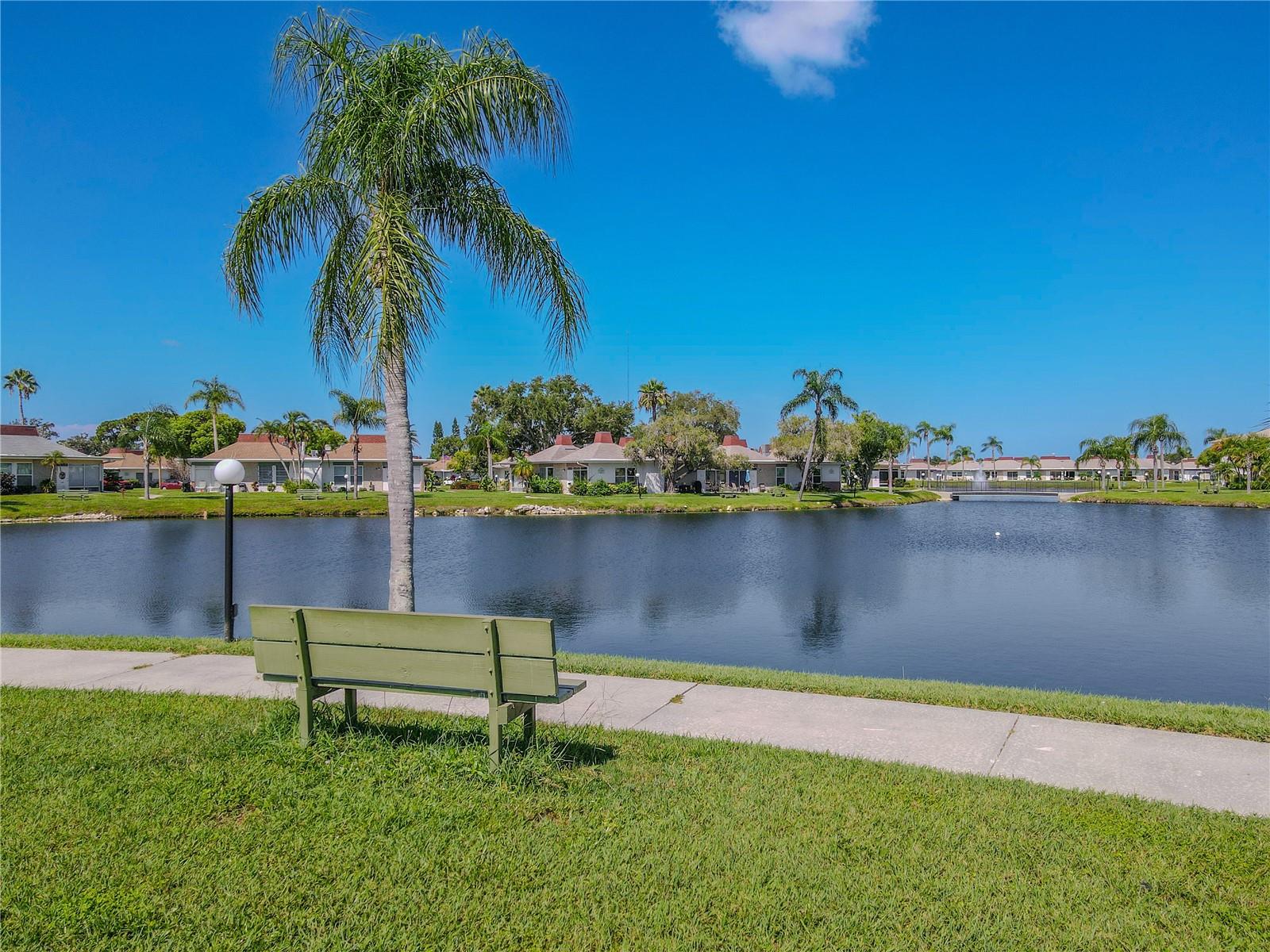 Scenic walking path winding around a serene, palm-lined pond with bench seating to enjoy the tranquil view. The pathway offers a peaceful setting for sunny days with lighted lighted walkin path for evening strolls.