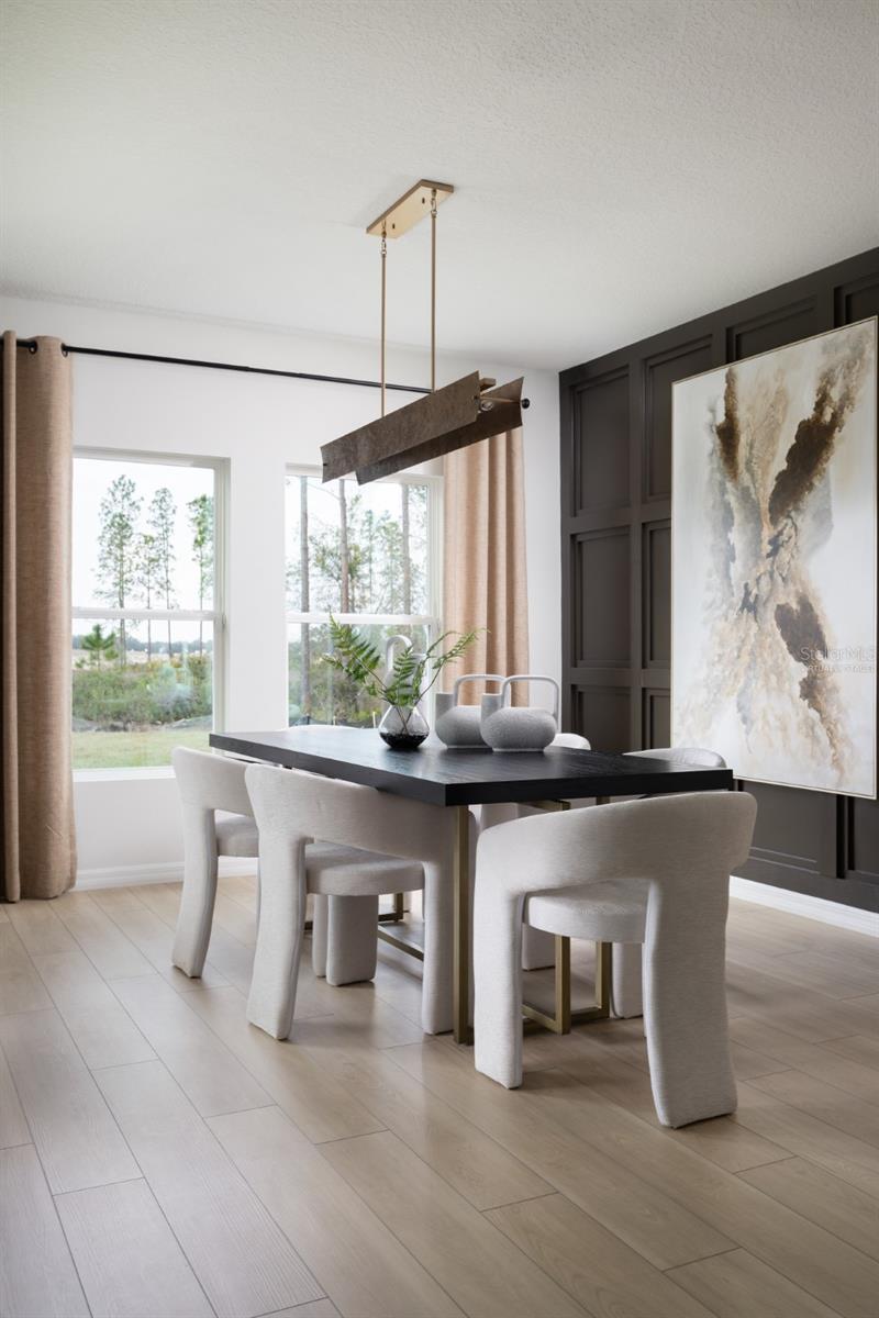 virtually staged/model home