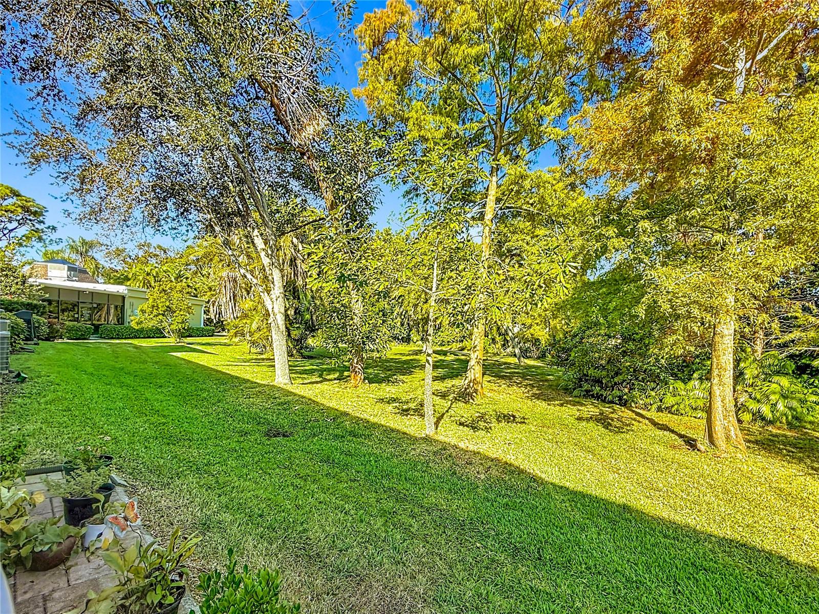 Peaceful wooded view from Lanai