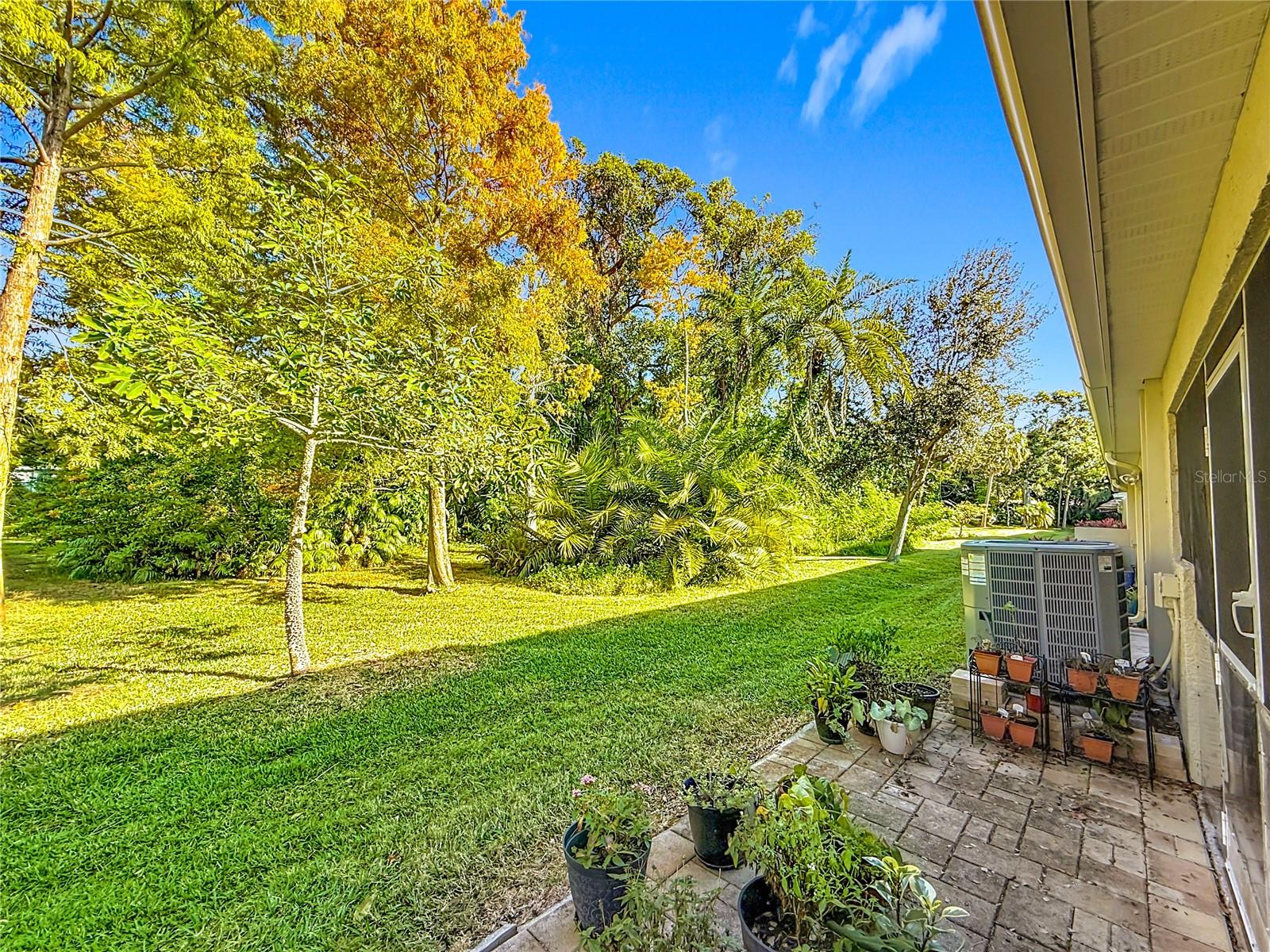 Peaceful wooded view from Lanai