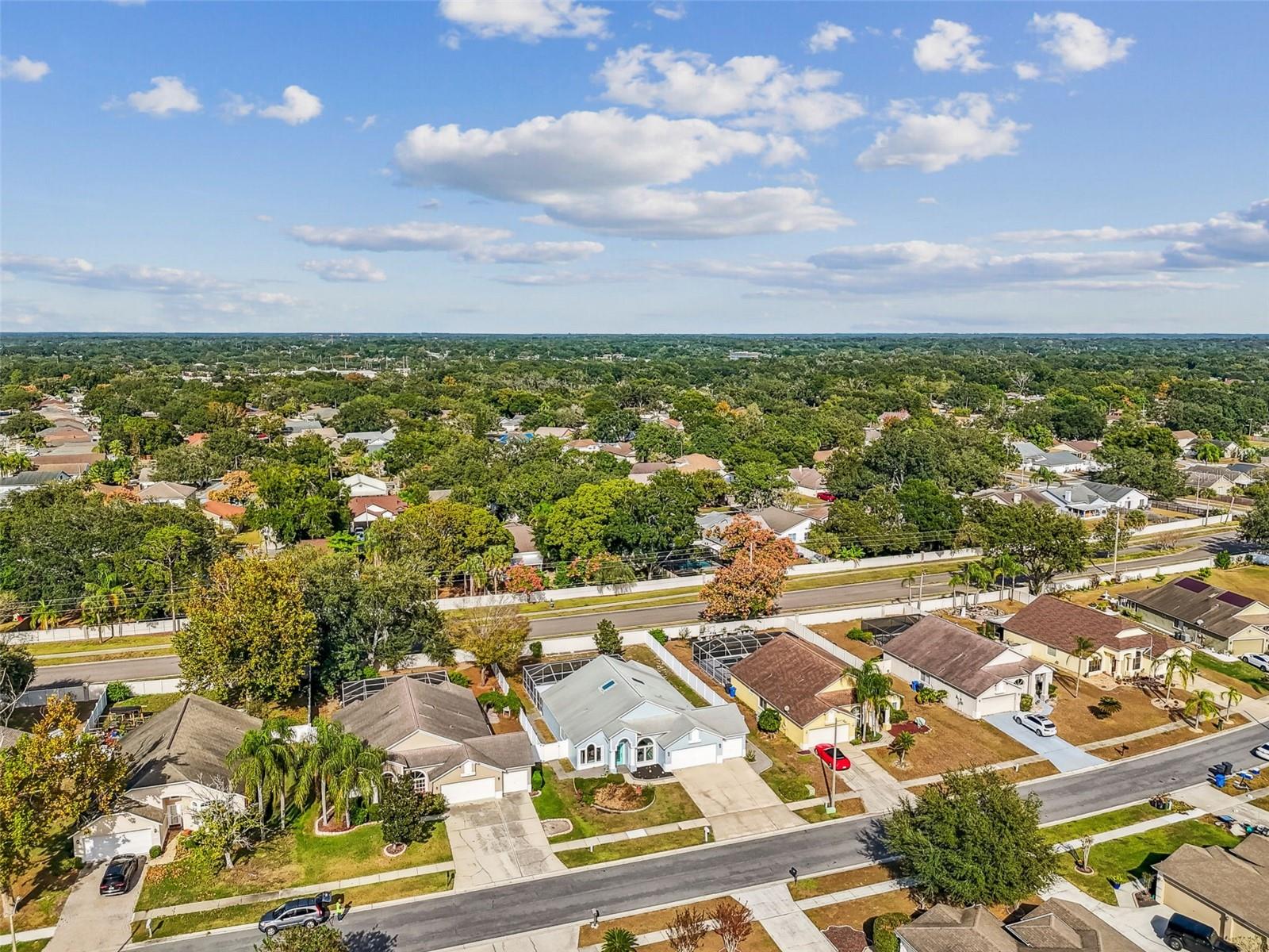 Looking over the neighborhood