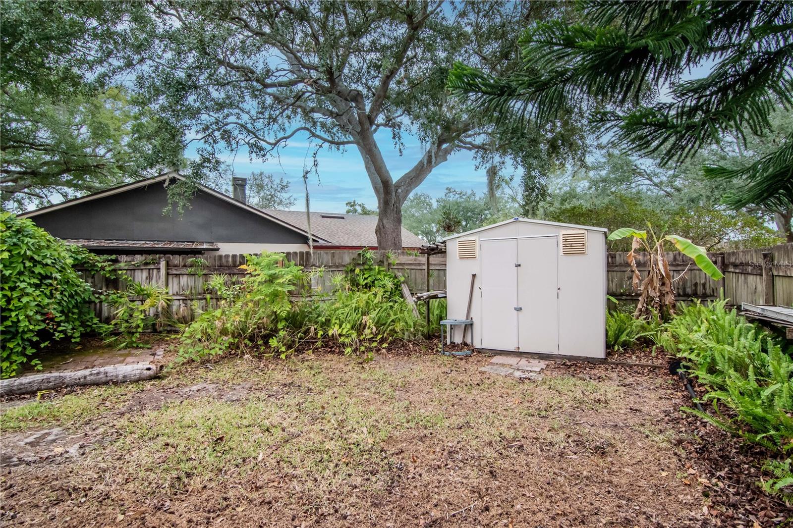 SIDE YARD W/SHED