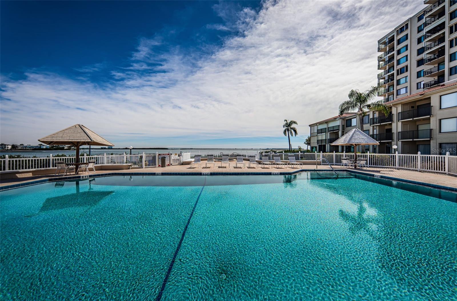 Heated Pool & Spa overlooks Tampa Bay!