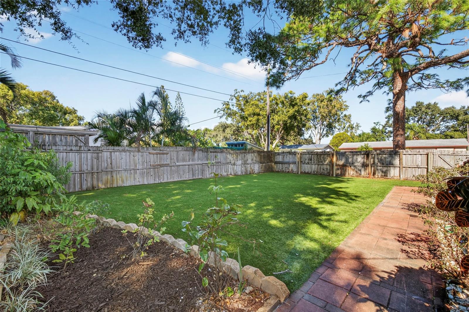 backyard - new turf!