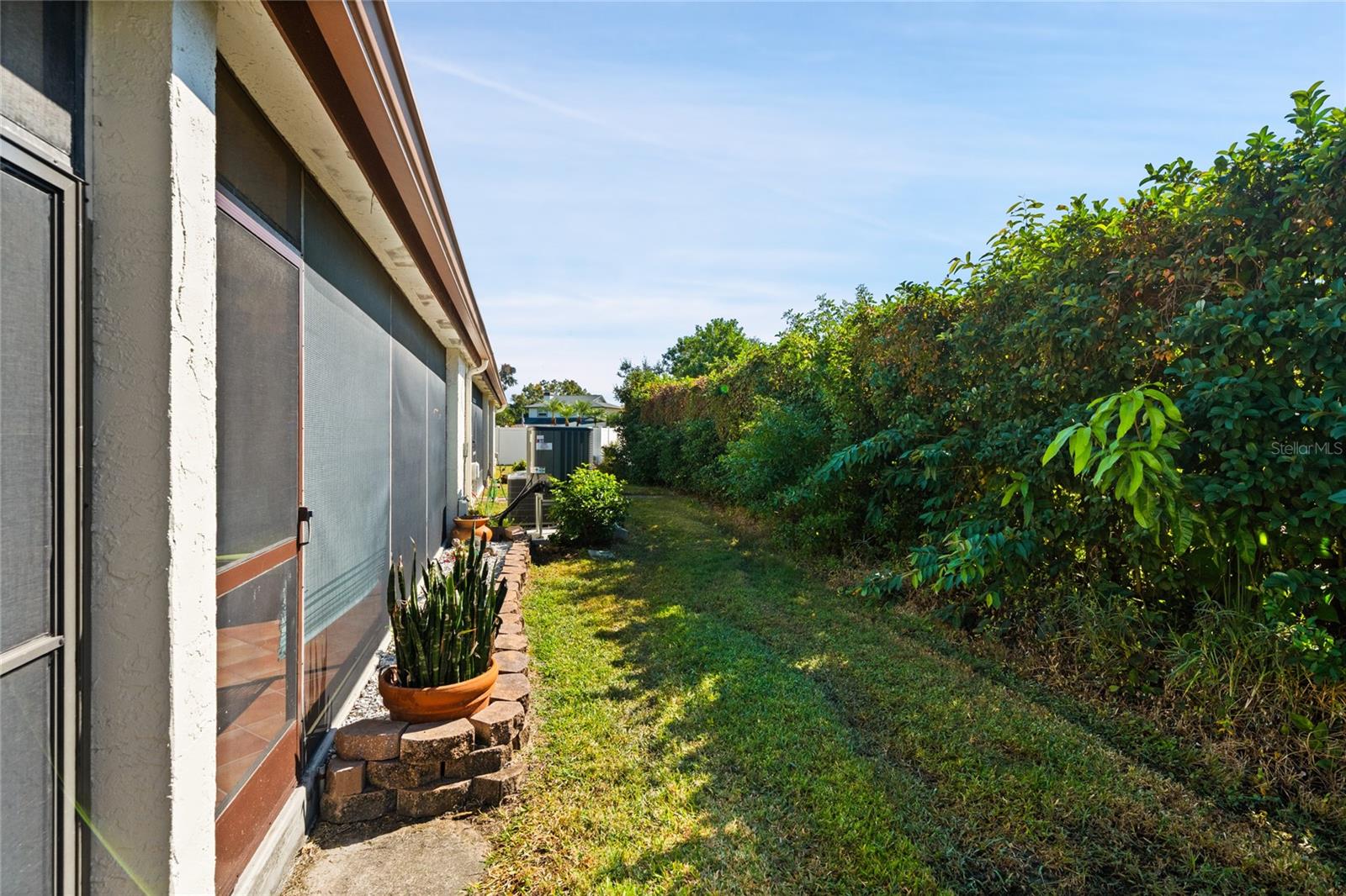 BACKYARD WITH PRIVACY HEDGE