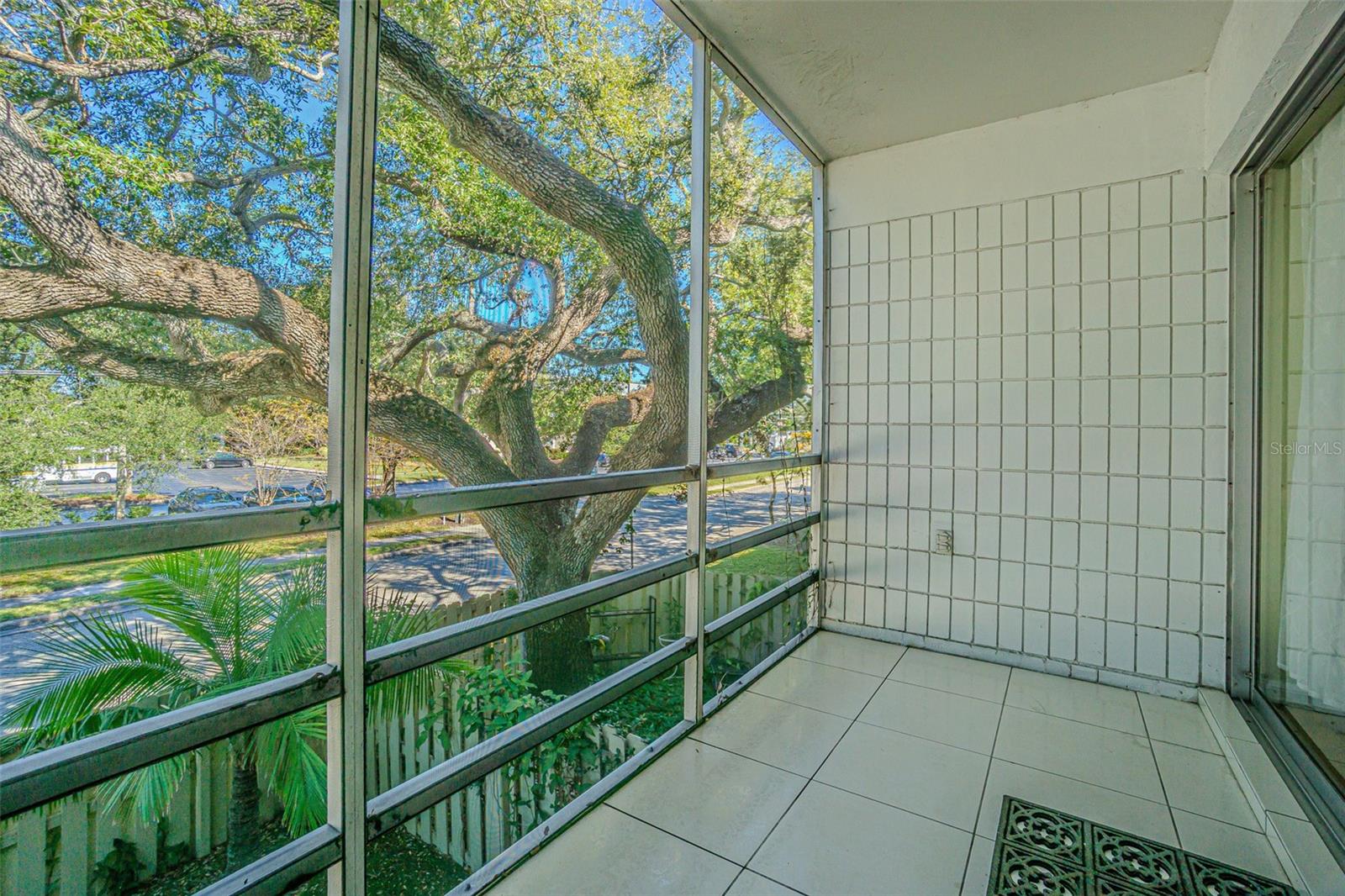 Screened porch view of trees.