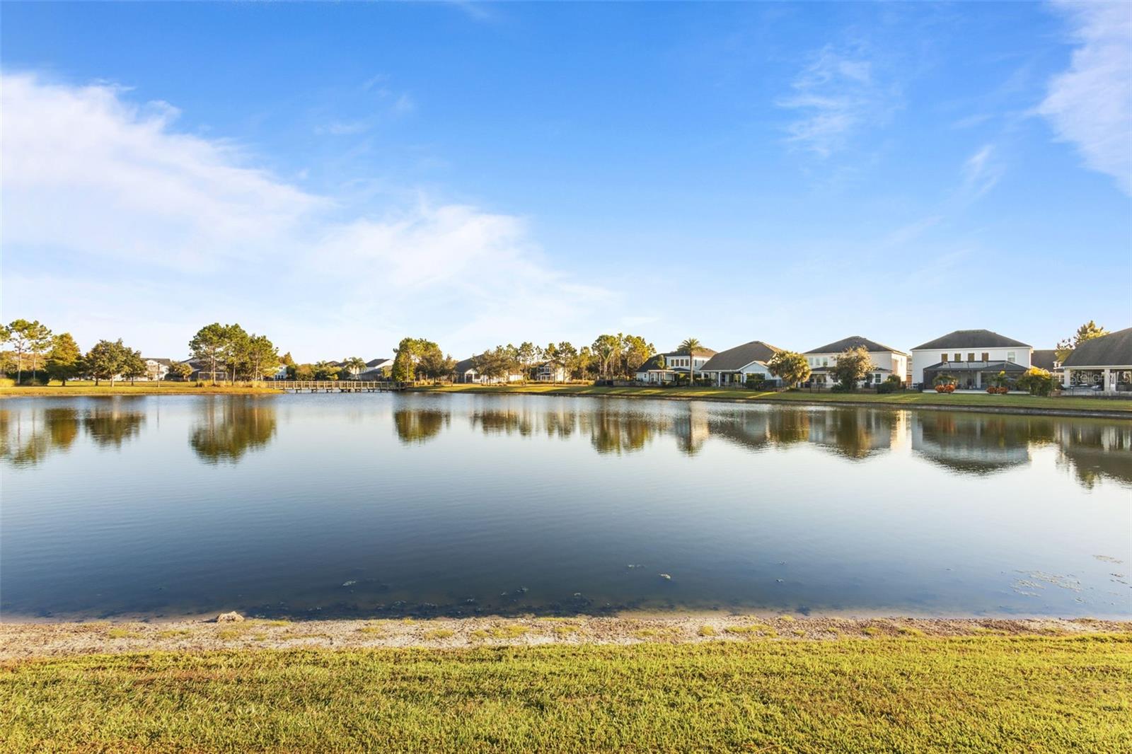 Peaceful pond views from the backyard oasis