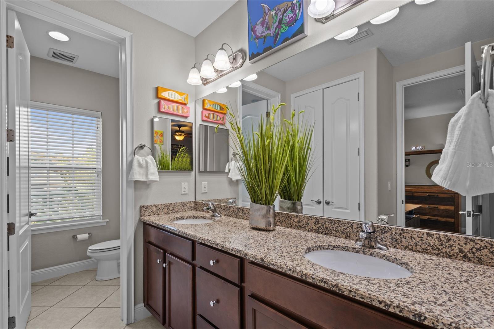 Upstairs Jack and Jill bathroom