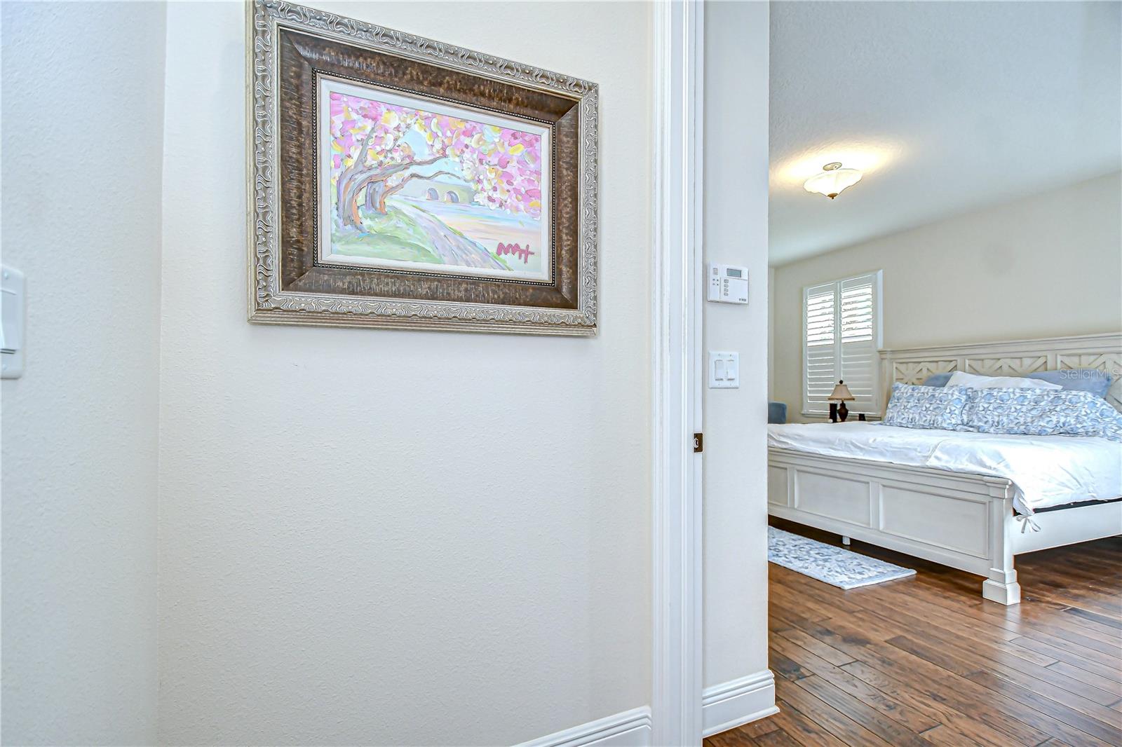 Entry into the Primary Bedroom