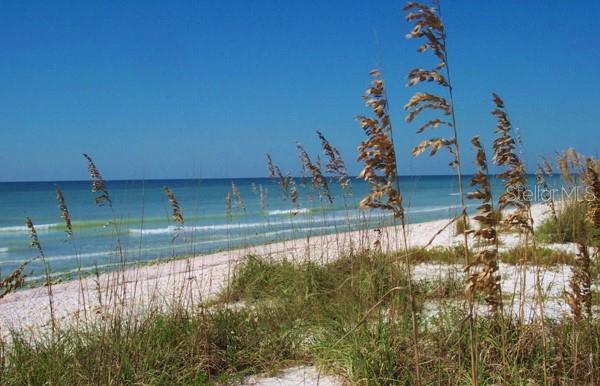 Honeymoon Island Beach