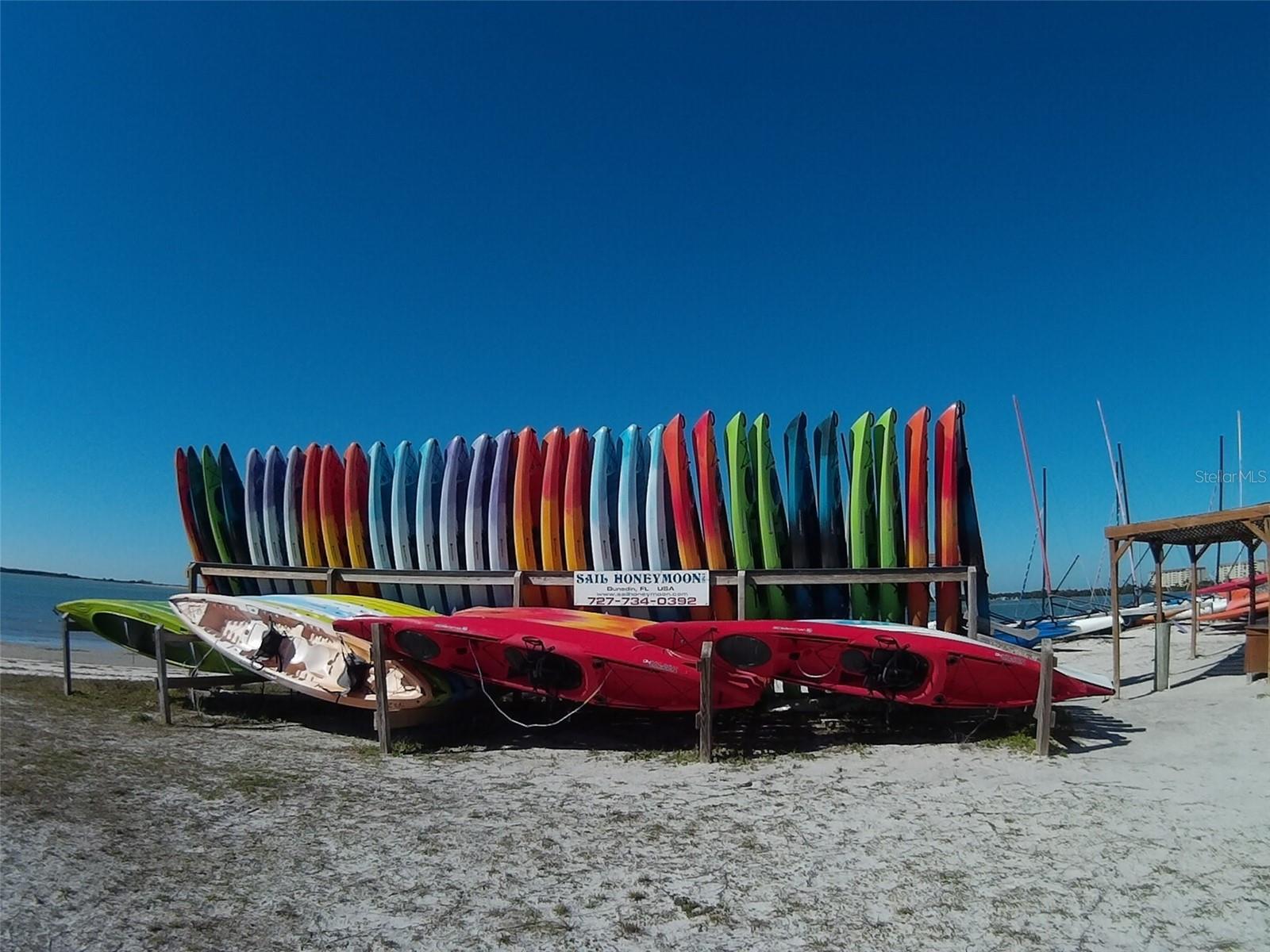 Rent a kayak on Dunedin Causeway
