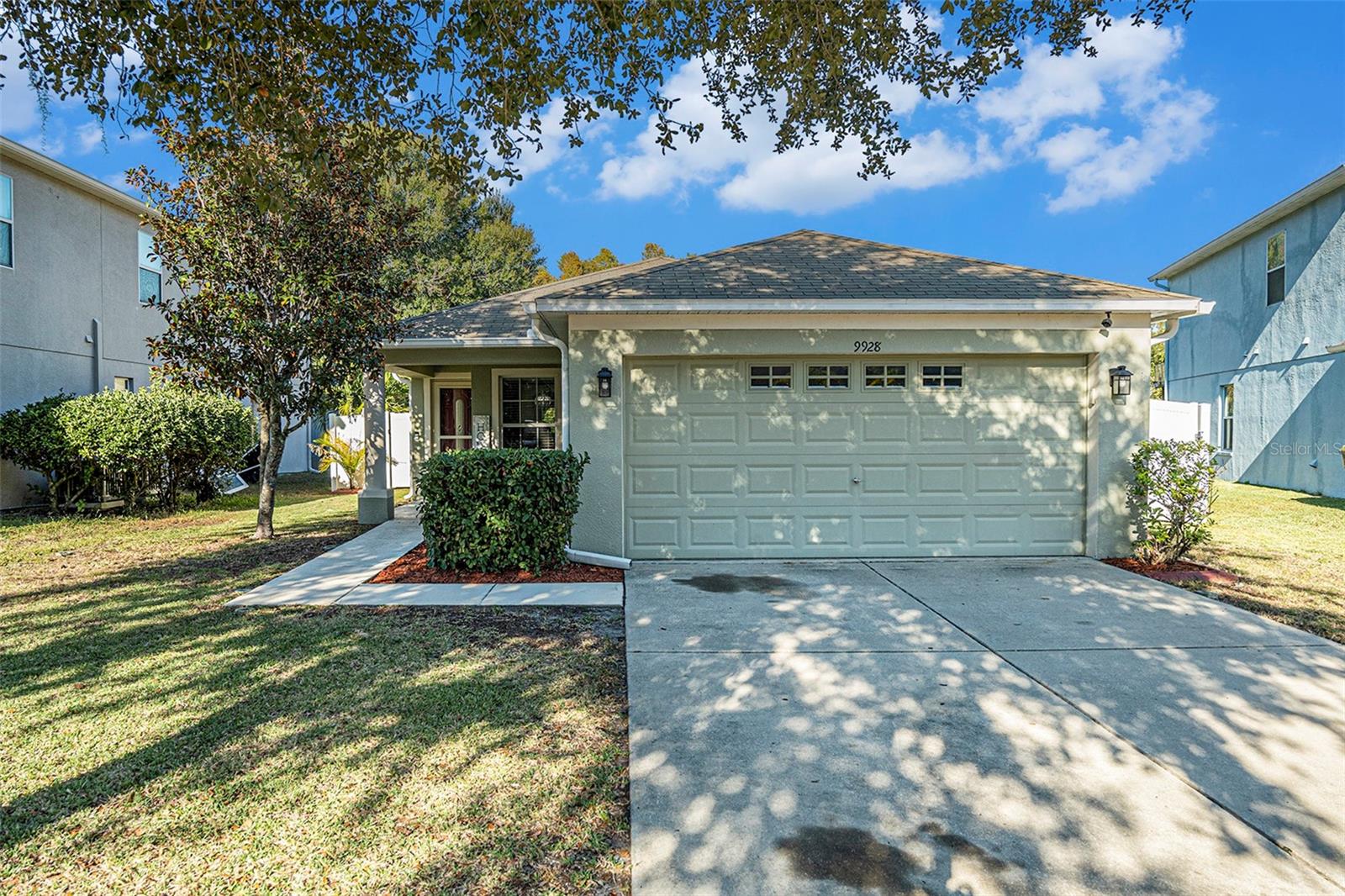 Quiet tree lined street