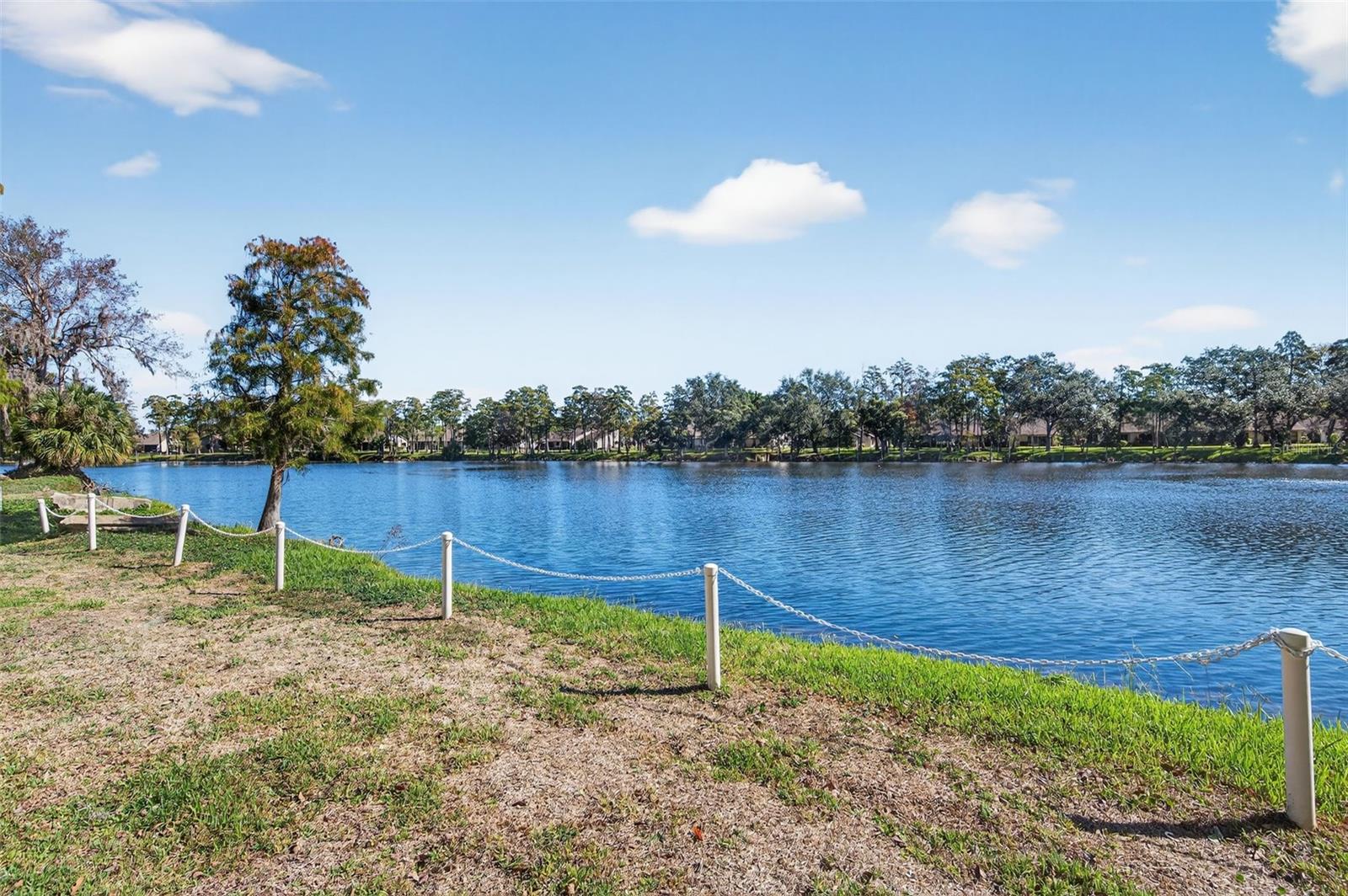 Community lake view from backyard