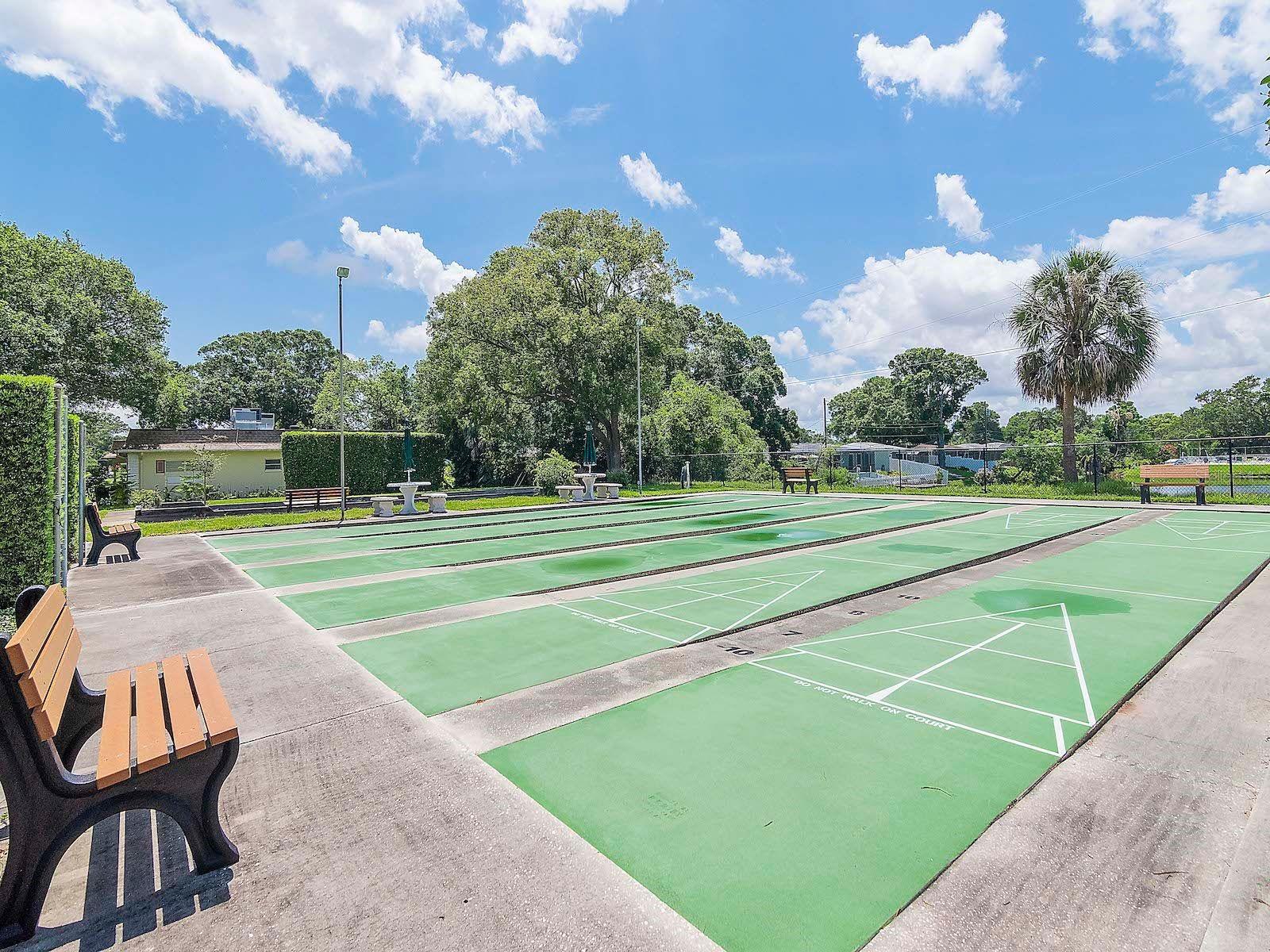 Shuffleboard Court