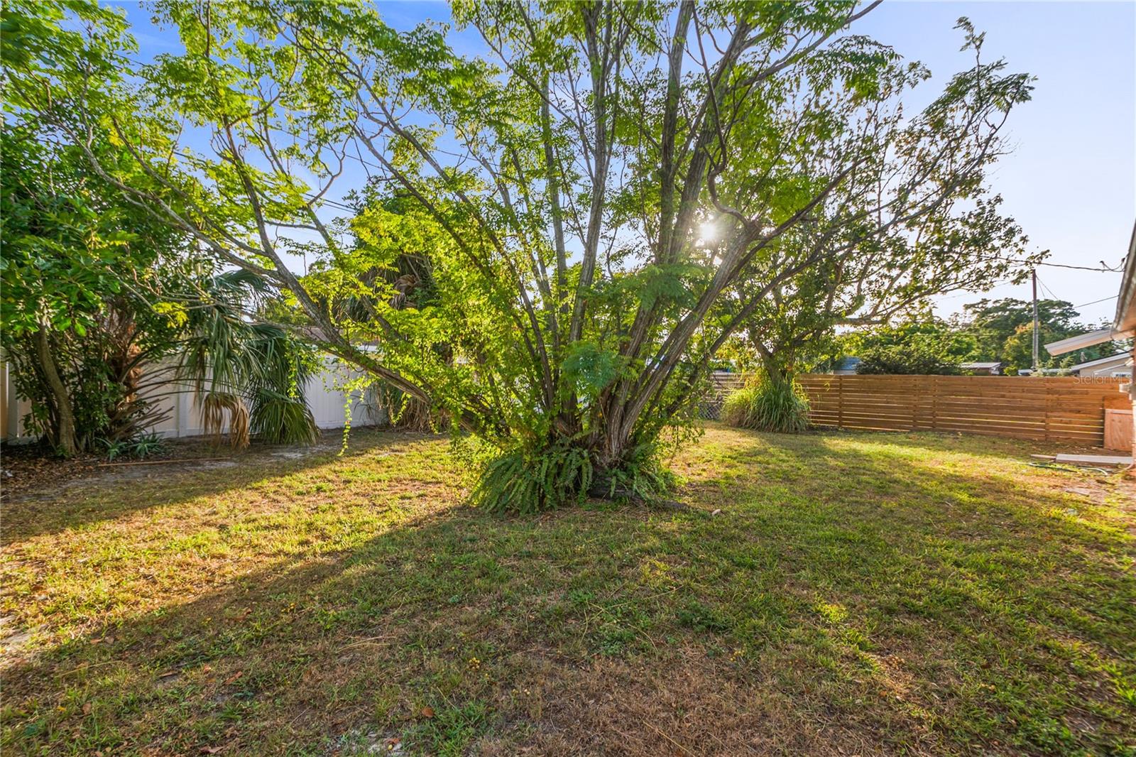 Fenced rear yard